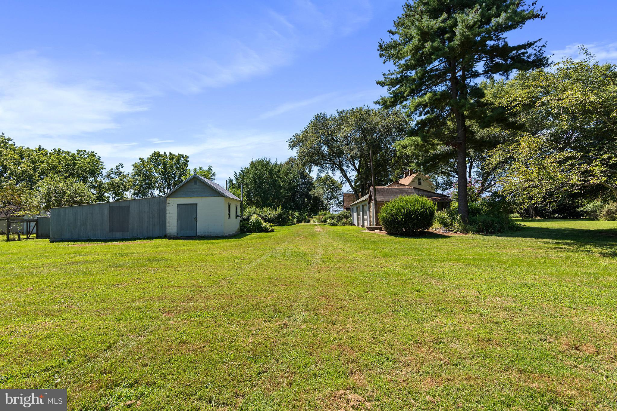 8293 Brices Mill Road Chestertown, MD 21620 - Photo 7 of 59 a big yard with lots of green space and plants