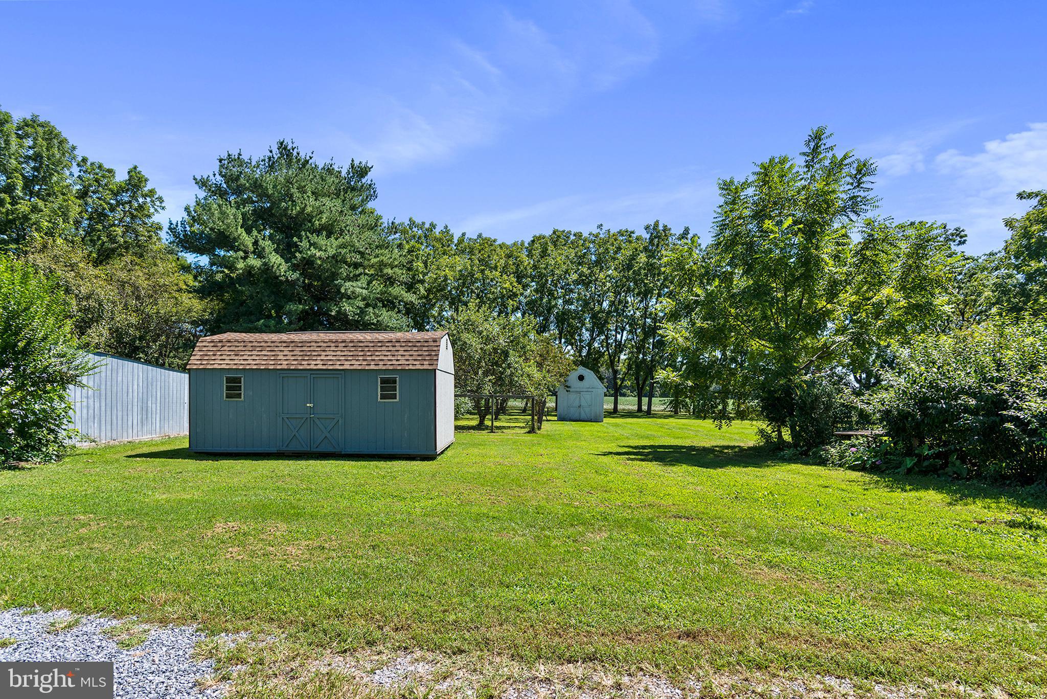 8293 Brices Mill Road Chestertown, MD 21620 - Photo 10 of 59 a view of a big yard with large trees