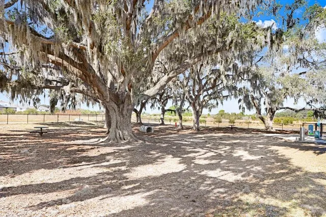 $350,000 | 31425 Mango Fade Way, San Antonio, FL 33576