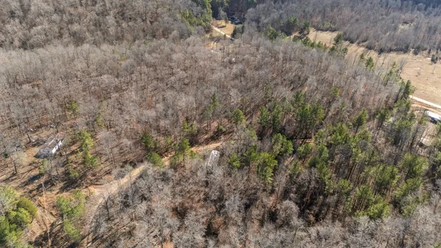 a view of a dry yard