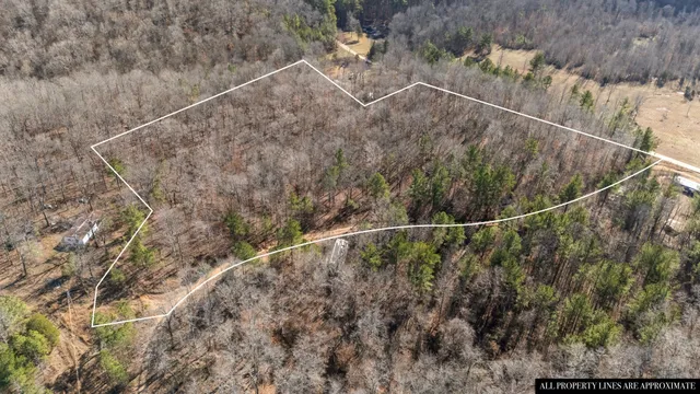 a view of a dry field