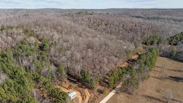 a view of a forest with a forest