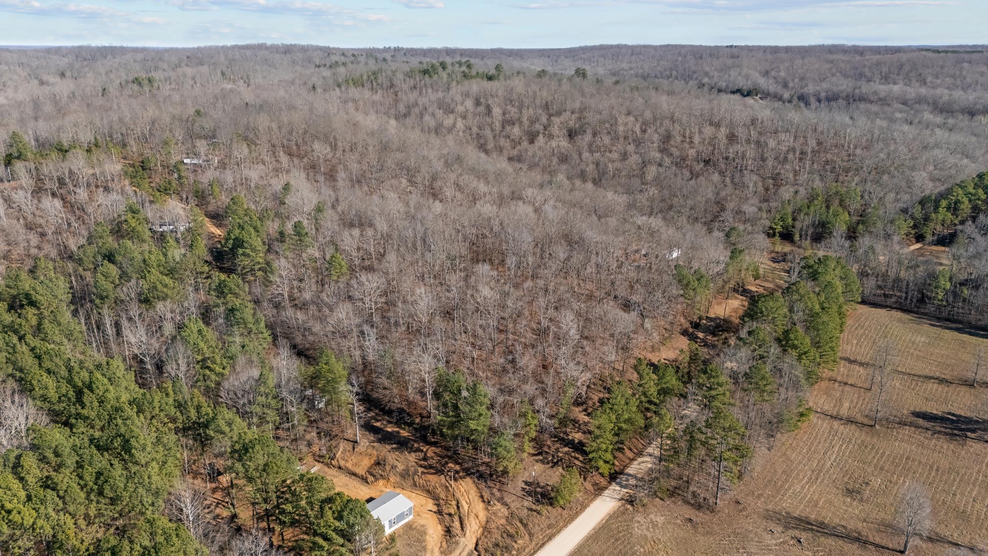 0 Roberts Creek Road Waverly, TN 37185 - Photo 13 of 33 a view of a dry field