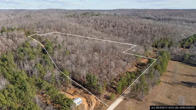 a view of road and trees