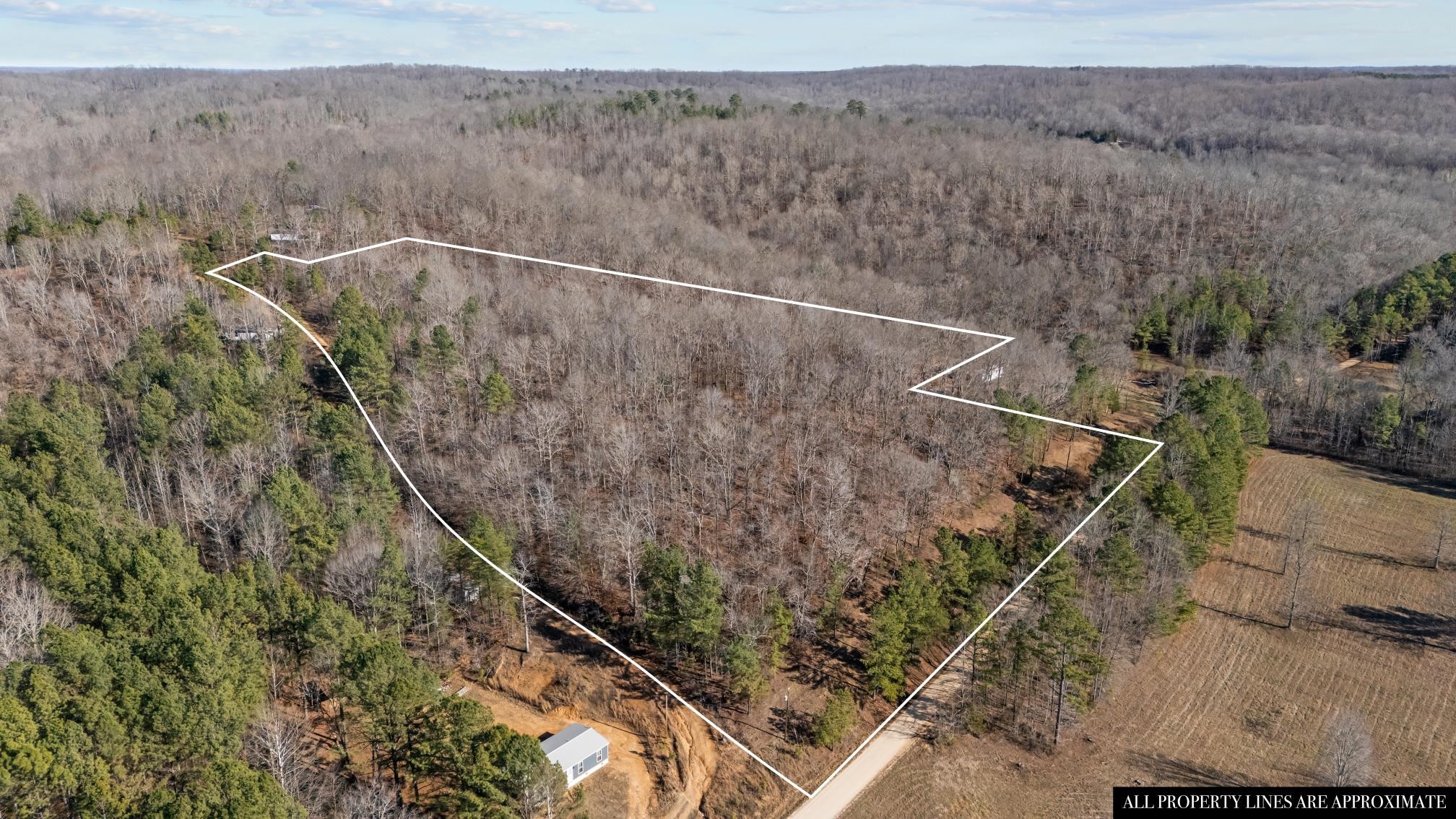 0 Roberts Creek Road Waverly, TN 37185 - Photo 14 of 33 a view of a forest with a forest
