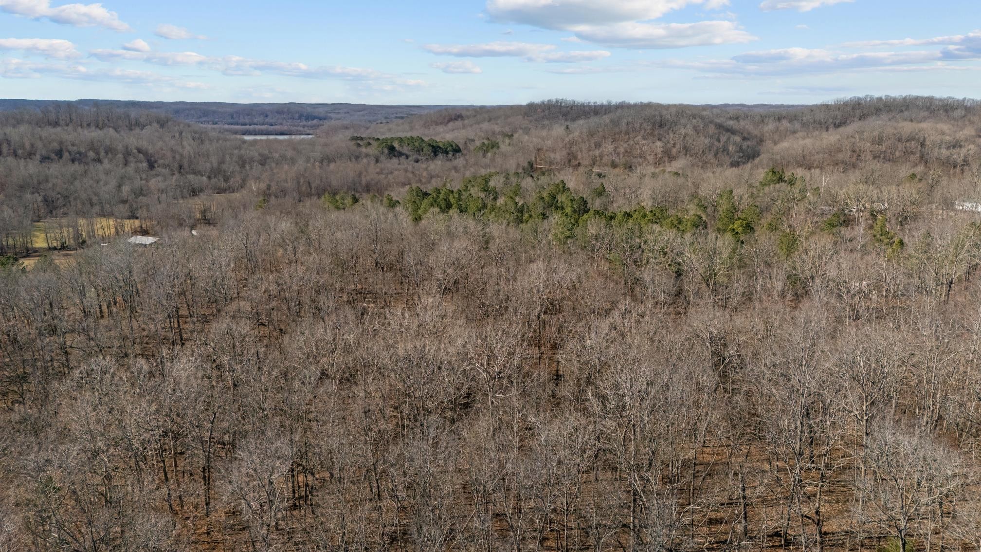 0 Roberts Creek Road Waverly, TN 37185 - Photo 15 of 33