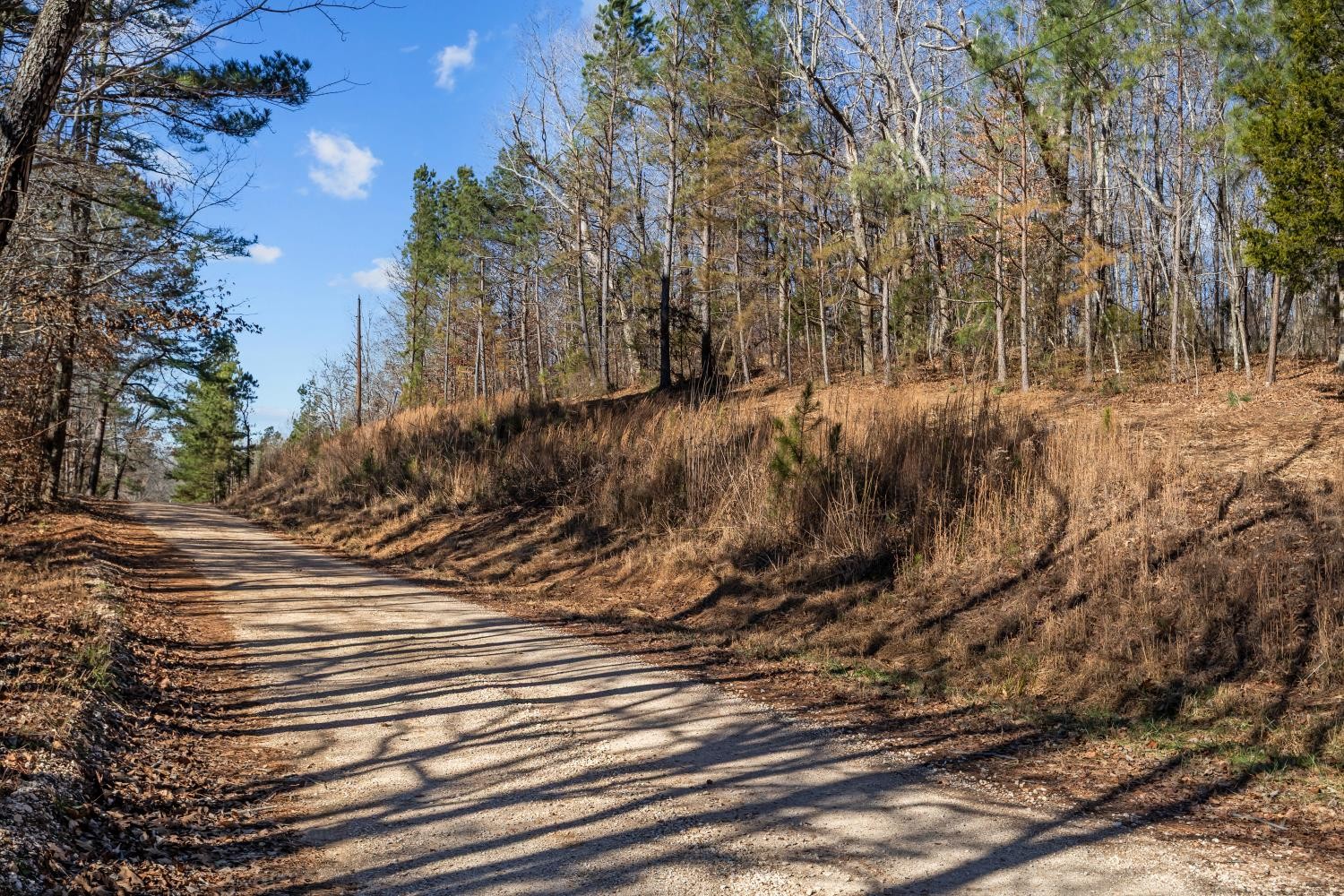 0 Roberts Creek Road Waverly, TN 37185 - Photo 16 of 33 a view of road and trees