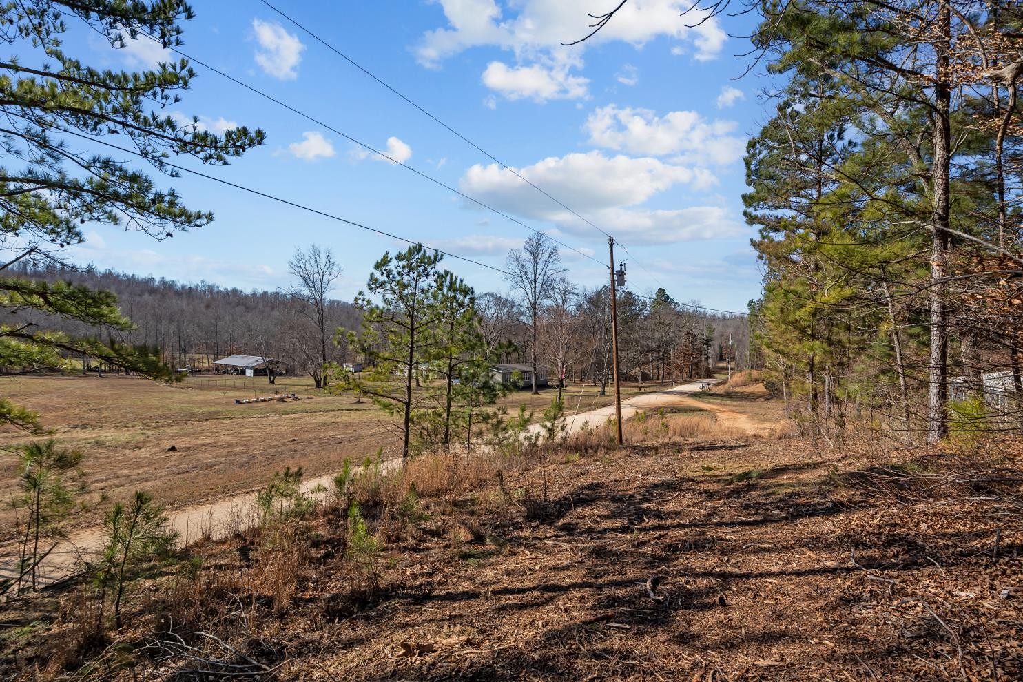 0 Roberts Creek Road Waverly, TN 37185 - Photo 17 of 33 a view of a yard