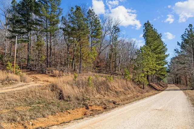 a view of backyard with green space