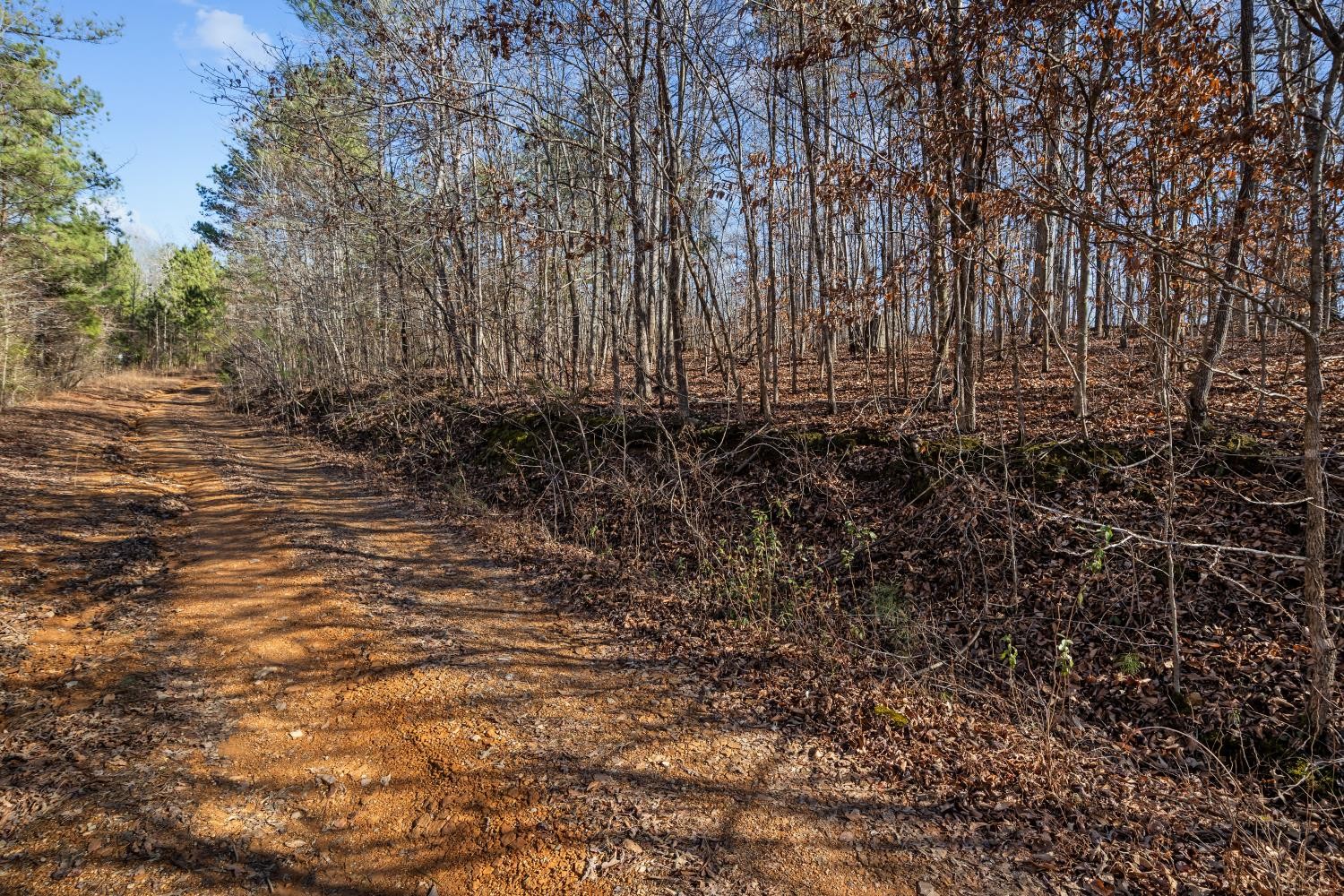 0 Roberts Creek Road Waverly, TN 37185 - Photo 21 of 33 a view of backyard with green space