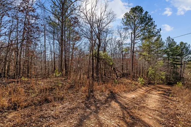 a view of a covered with snow in the background