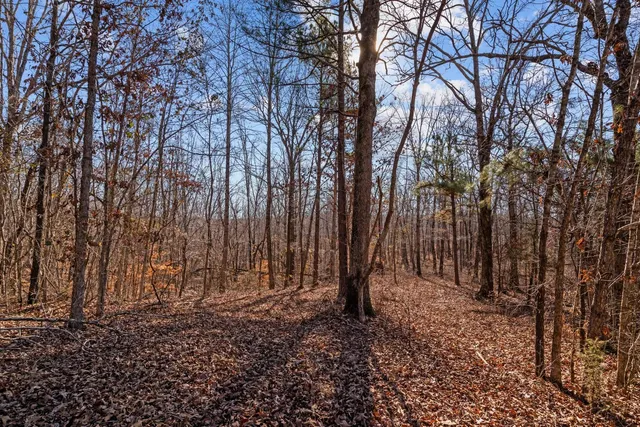 a view of outdoor space with wooden fence