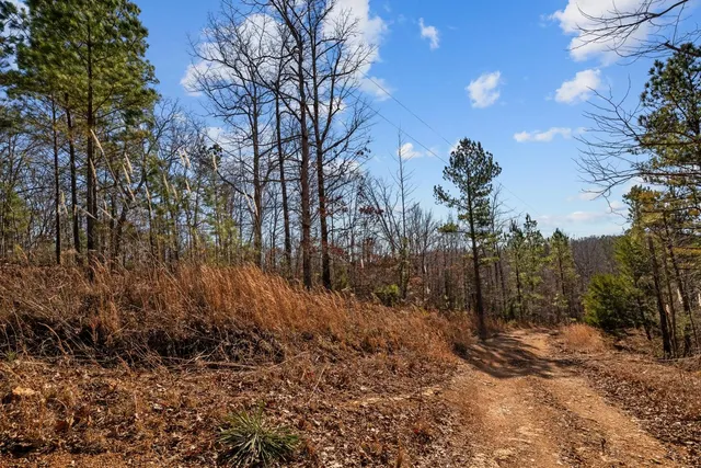 a backyard of a house with lots of trees