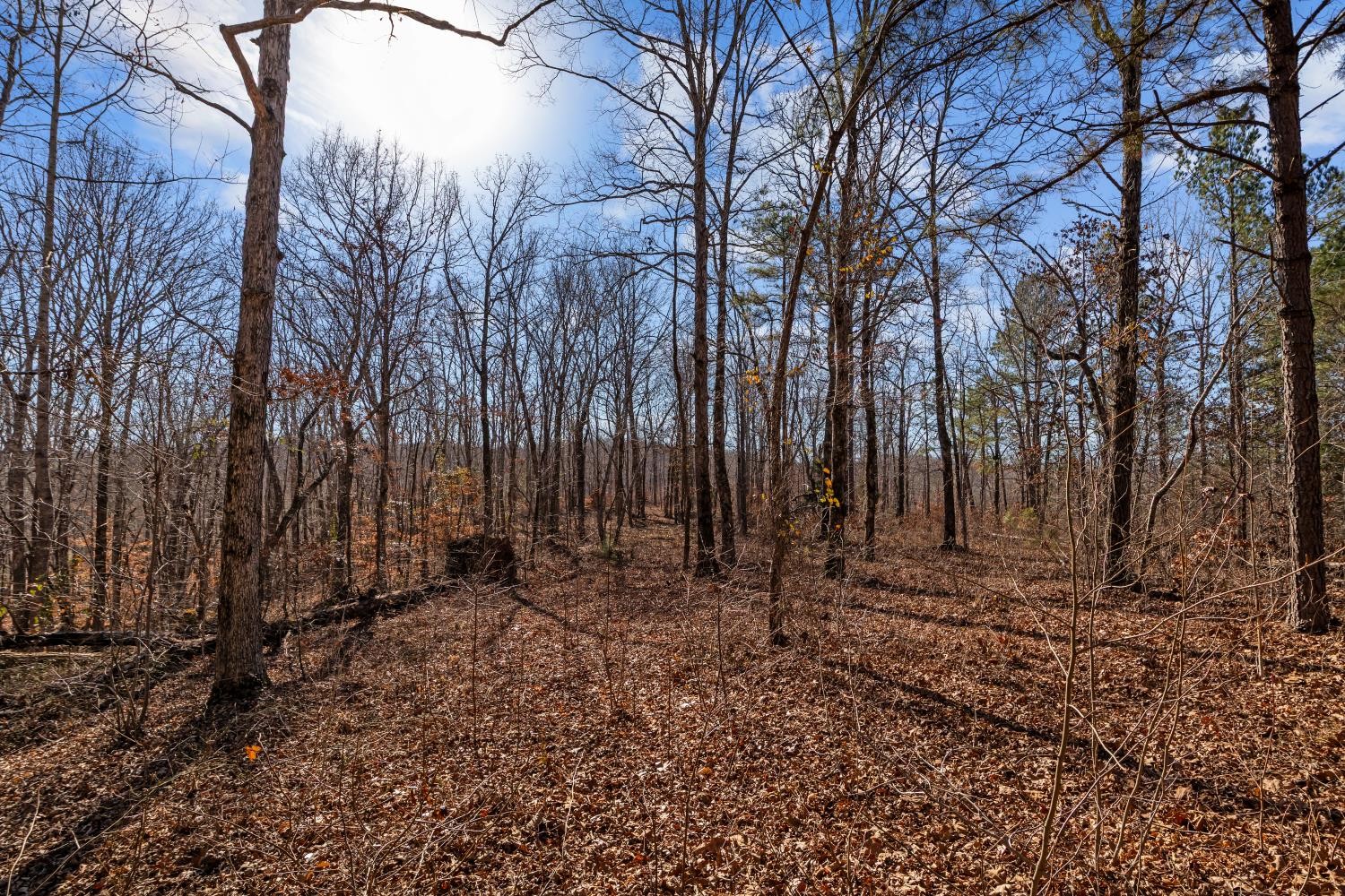 0 Roberts Creek Road Waverly, TN 37185 - Photo 25 of 33 a view of outdoor space with wooden fence