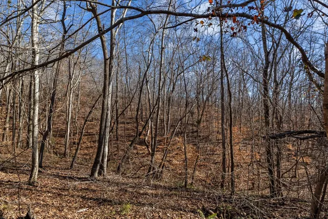 a view of outdoor space with trees