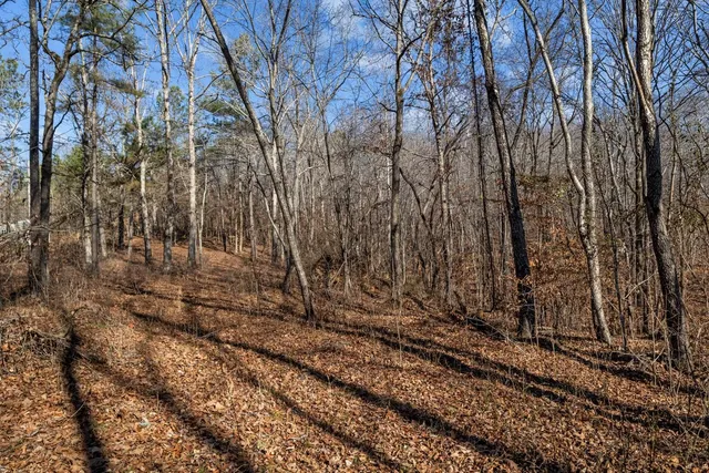 a view of house with trees