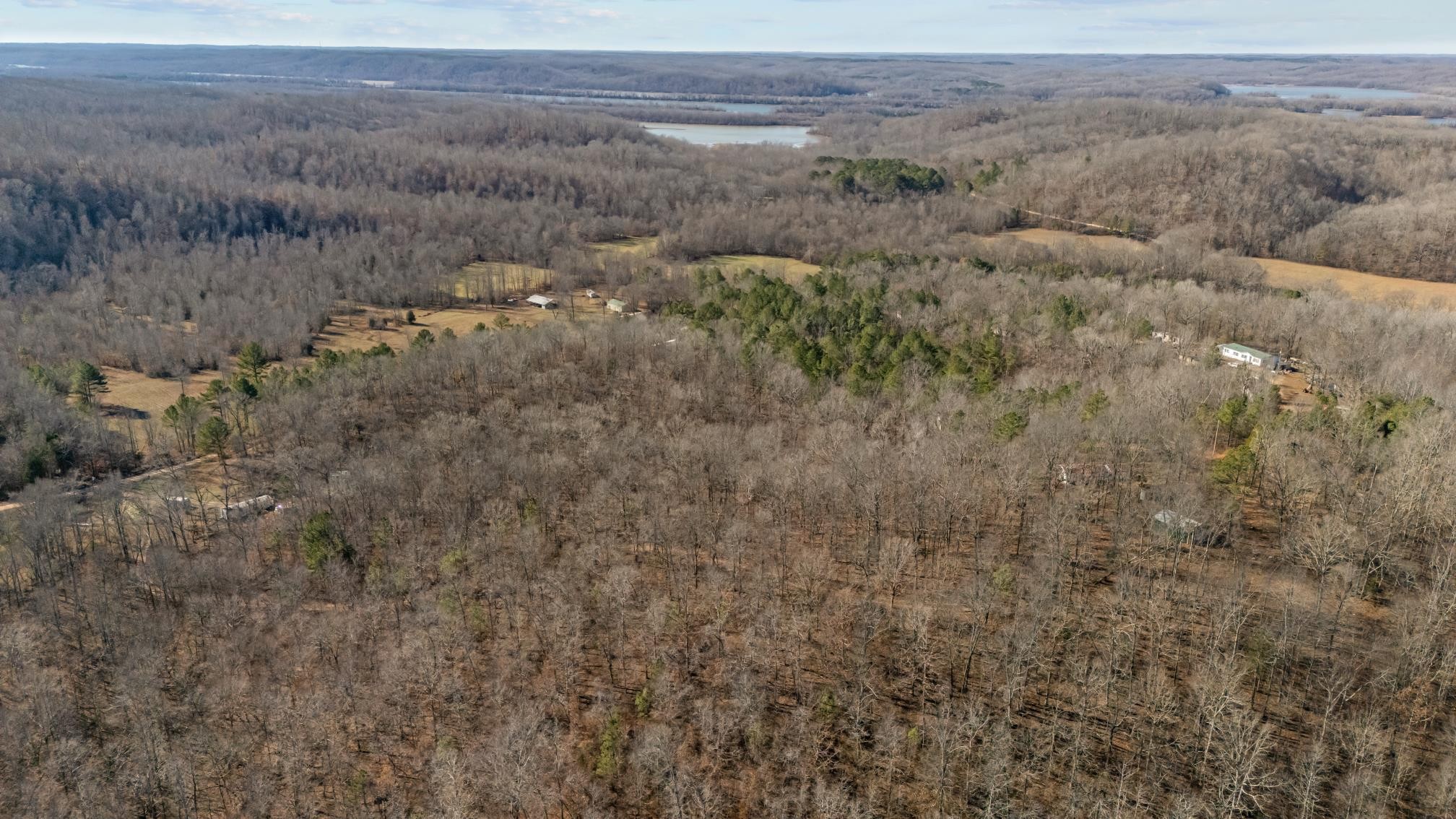 0 Roberts Creek Road Waverly, TN 37185 - Photo 3 of 33 a view of a dry yard with trees