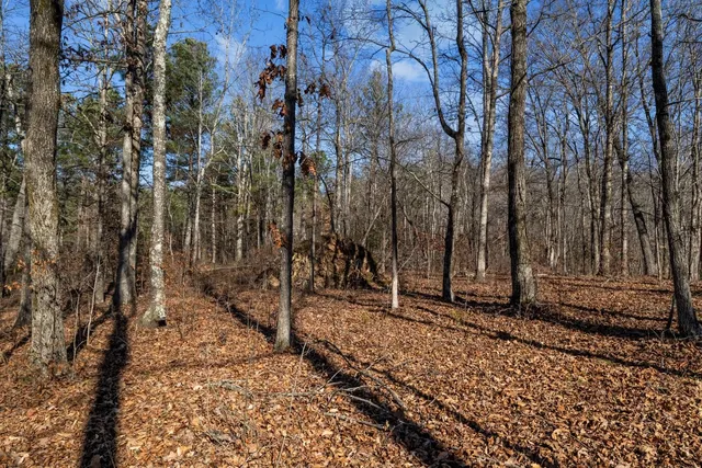 $125,000 | 0 Roberts Creek Road, Waverly, TN 37185
