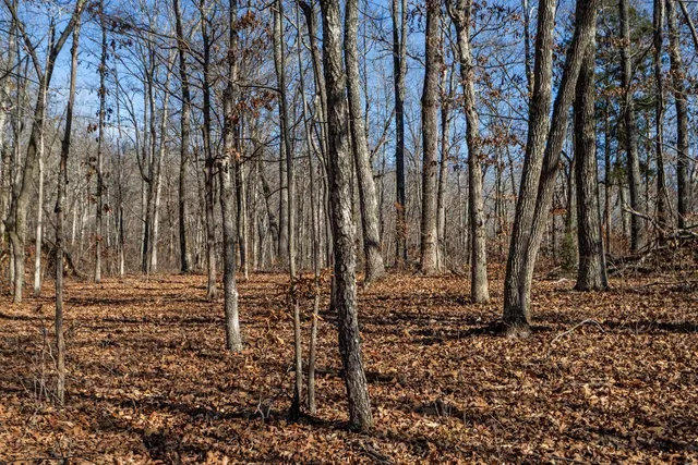 $125,000 | 0 Roberts Creek Road, Waverly, TN 37185