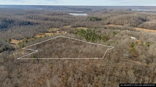 a view of a field of grass and trees