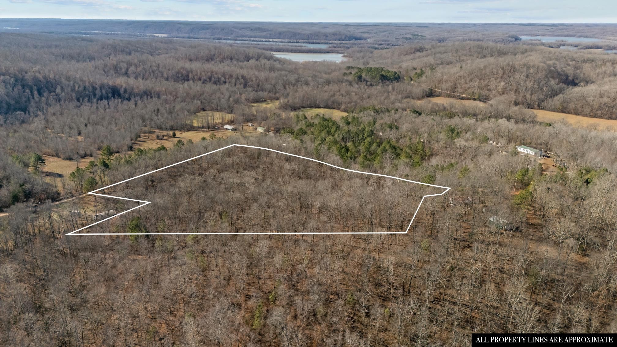 0 Roberts Creek Road Waverly, TN 37185 - Photo 4 of 33 a view of a dry yard