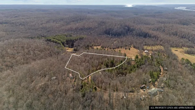 a view of a dry yard with trees