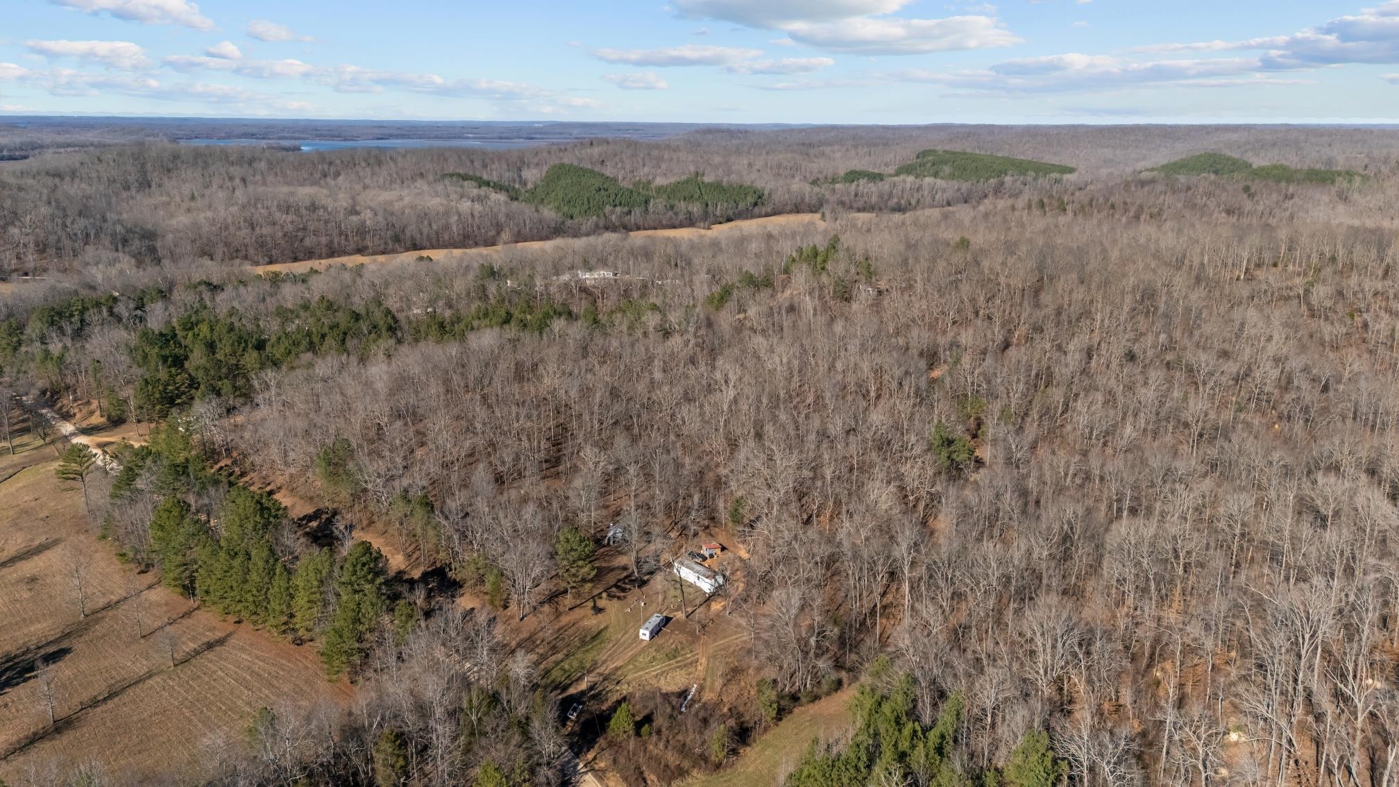 0 Roberts Creek Road Waverly, TN 37185 - Photo 7 of 33 a view of a dry yard with trees