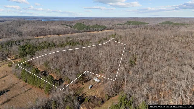 a view of a dry yard with trees