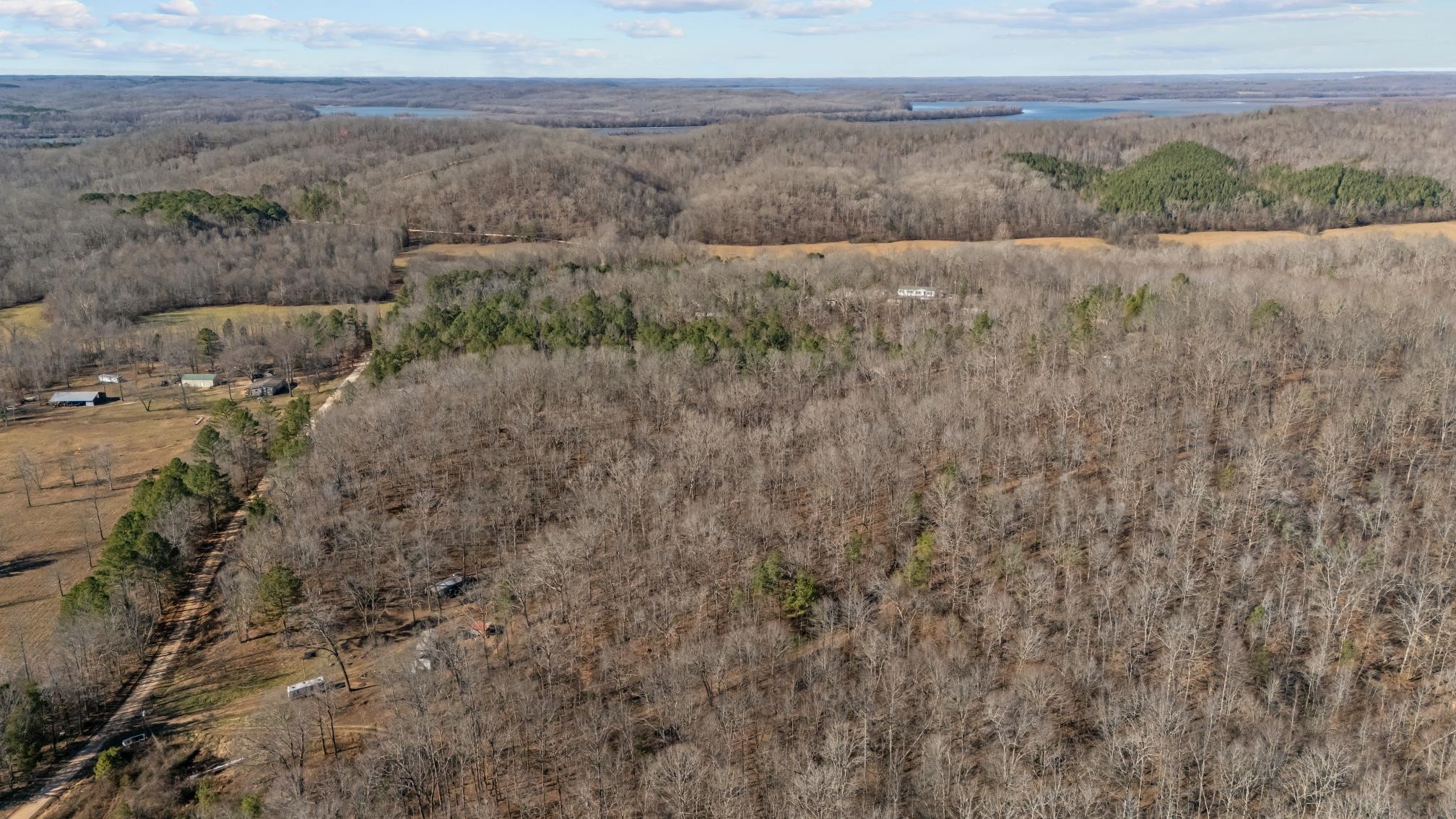 0 Roberts Creek Road Waverly, TN 37185 - Photo 9 of 33 a view of a dry yard with trees