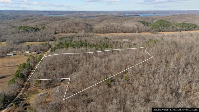 a view of a dry yard