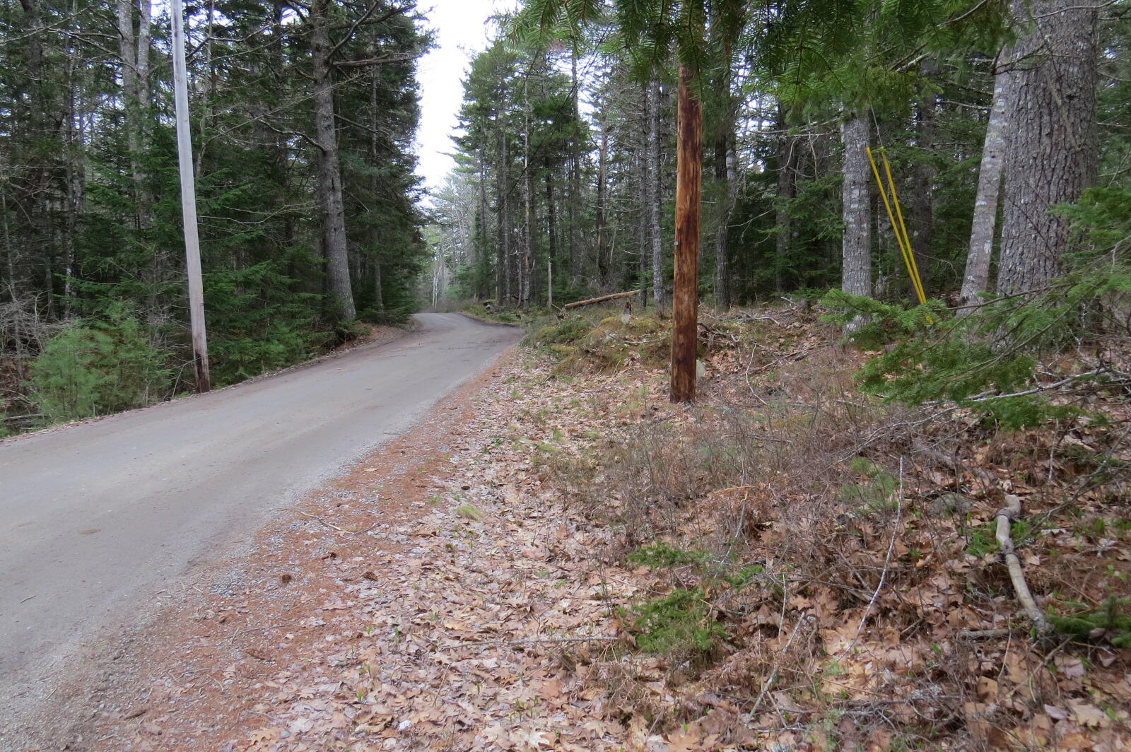 23 Porcupine Road Sullivan, ME 04664 - Photo 21 of 27 IMG_0206