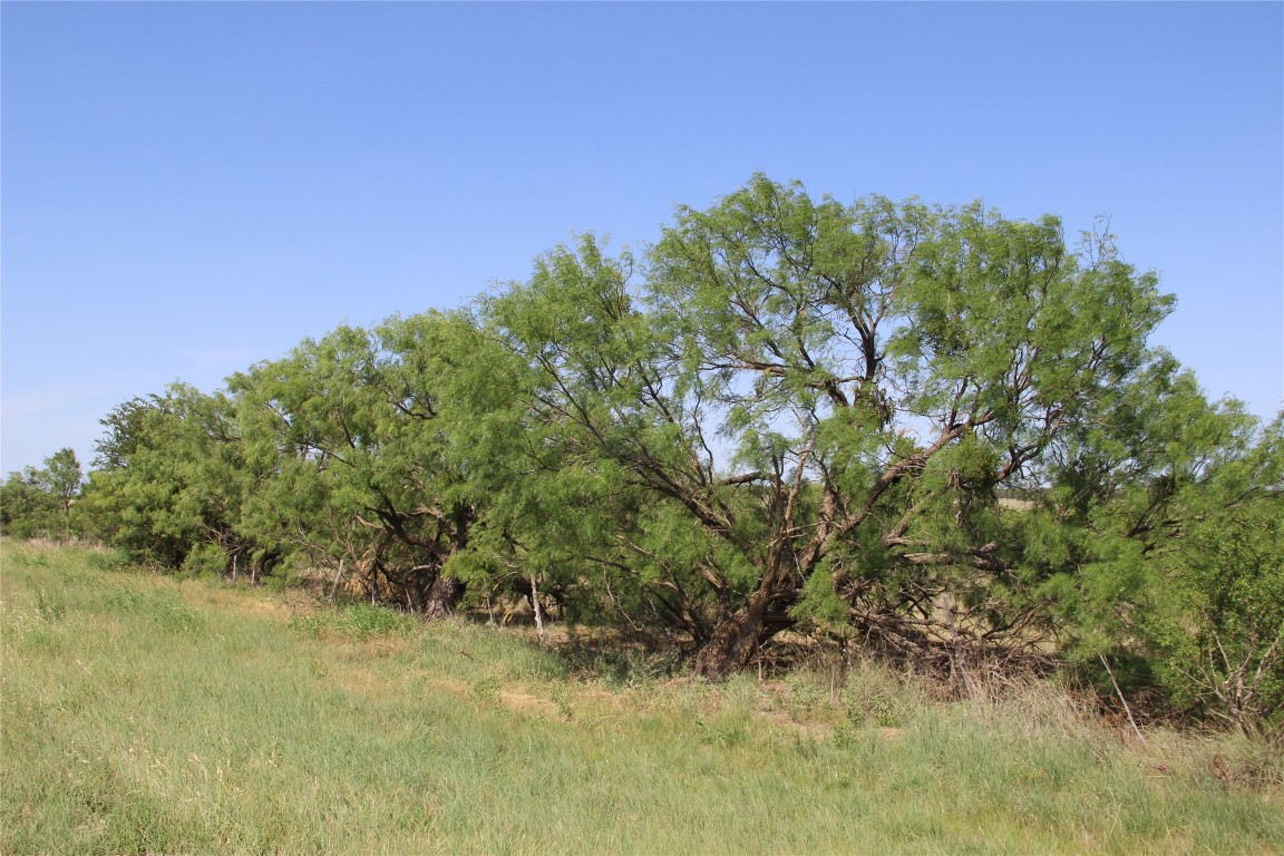 377 Brady Tx 76872 Rochelle, TX 76872 - Photo 1 of 1 a view of a field