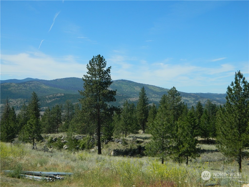 59 Cayuse Mountain Road Tonasket, WA 98855 - Photo 5 of 9 Gallery Image 5