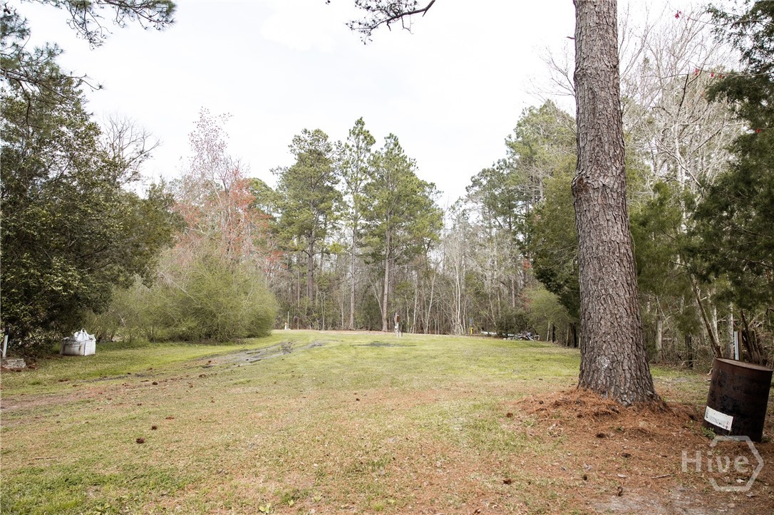 5720 North 21st Highway Springfield, GA 31329 - Photo 25 of 27