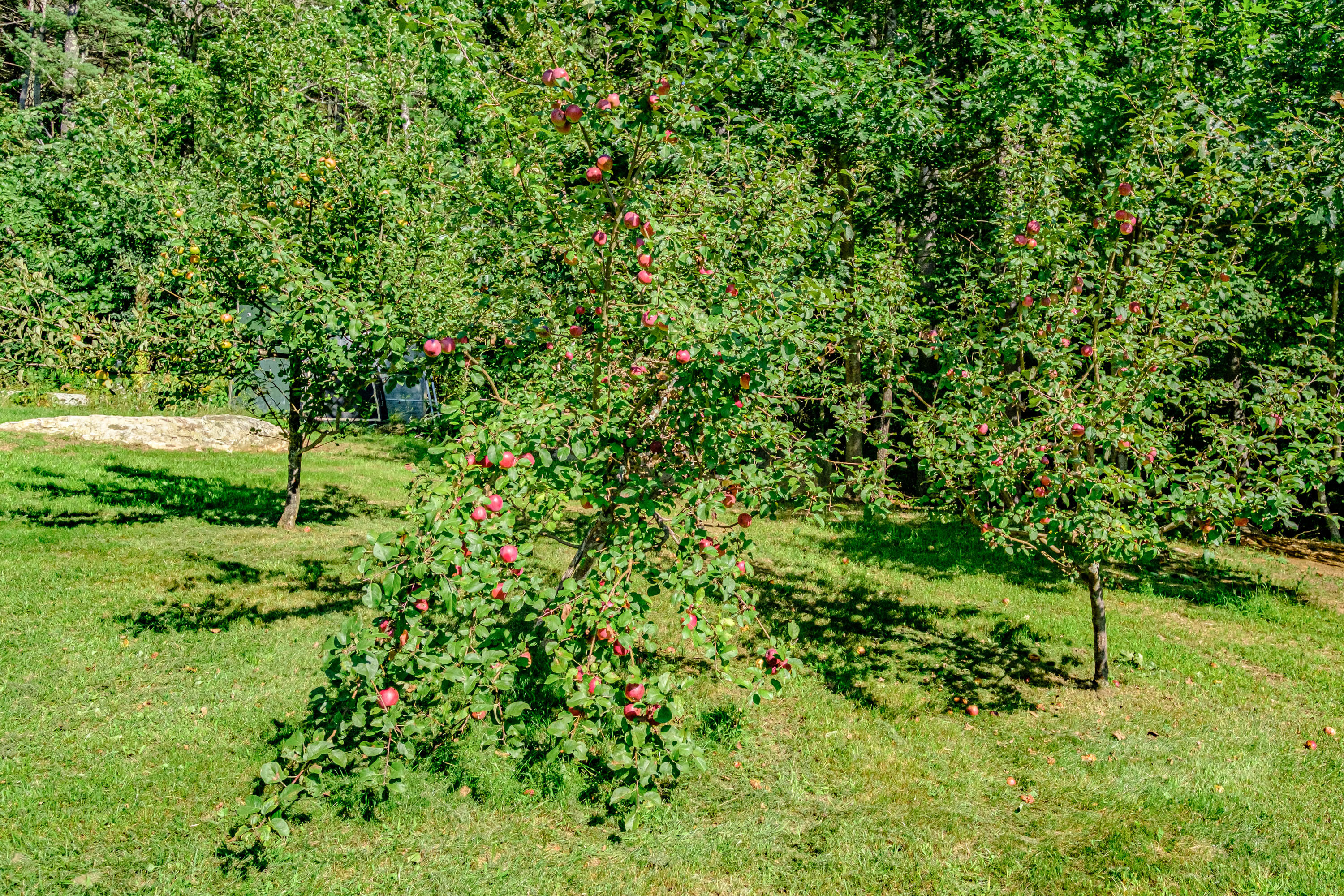 365 East Hebron Road Turner, ME 04282 - Photo 13 of 57 20210907gp-64015