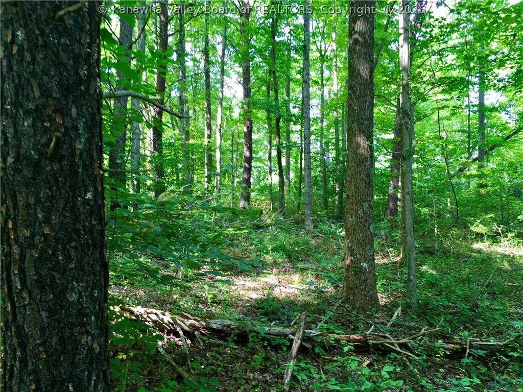 3001 Spicewood Road Kenna, WV 25248 - Photo 16 of 44 Gallery Image 16