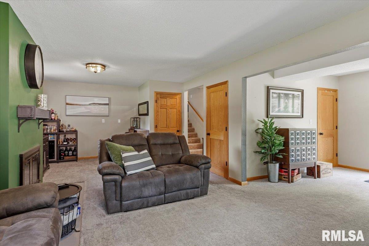 125 Wild Rose Lane Rochester, IL 62563 - Photo 24 of 42 Gallery Image 24