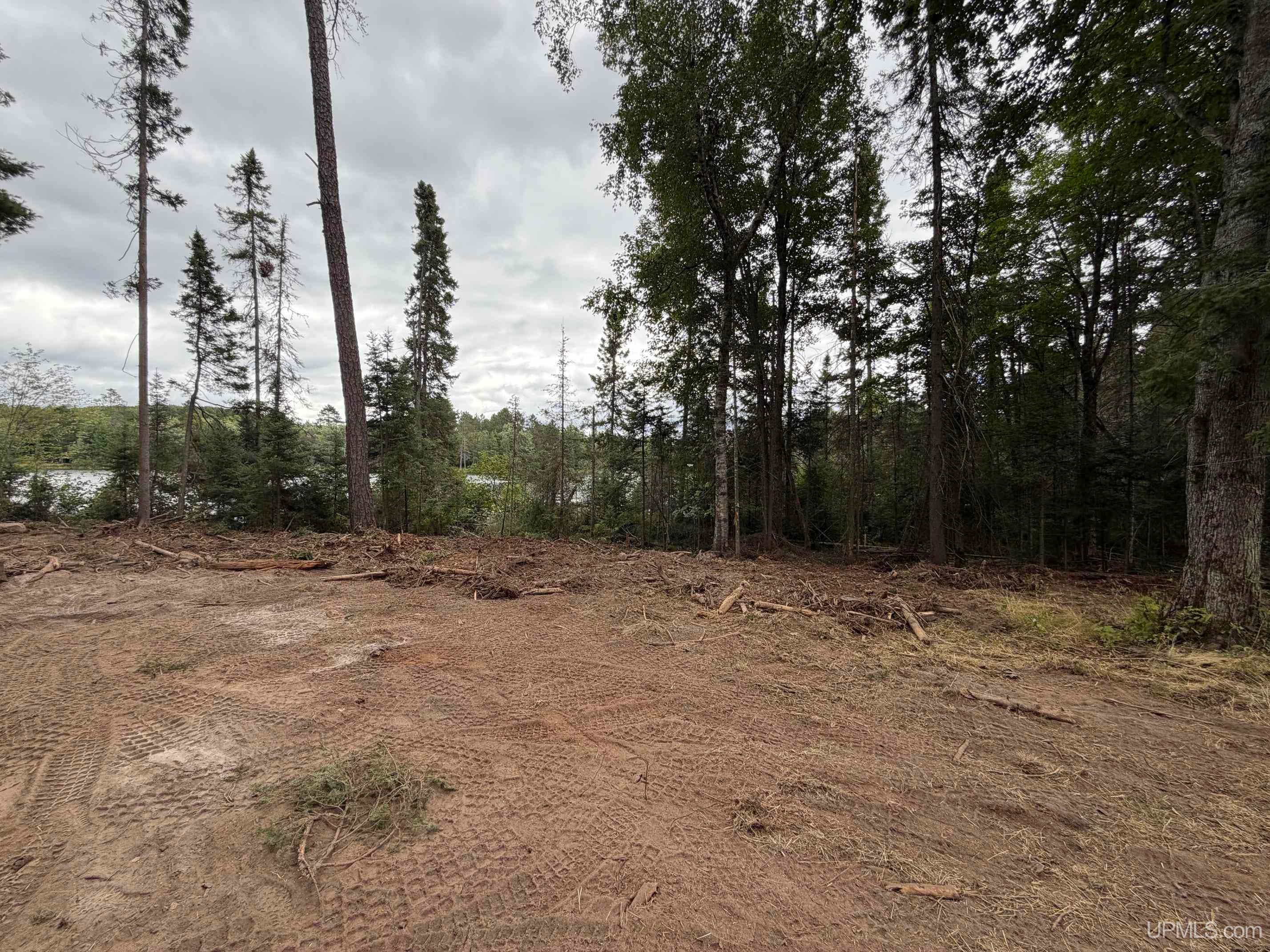 Tbd North Casey Lake Road Ishpeming, MI 49849 - Photo 7 of 19 Gallery Image 7