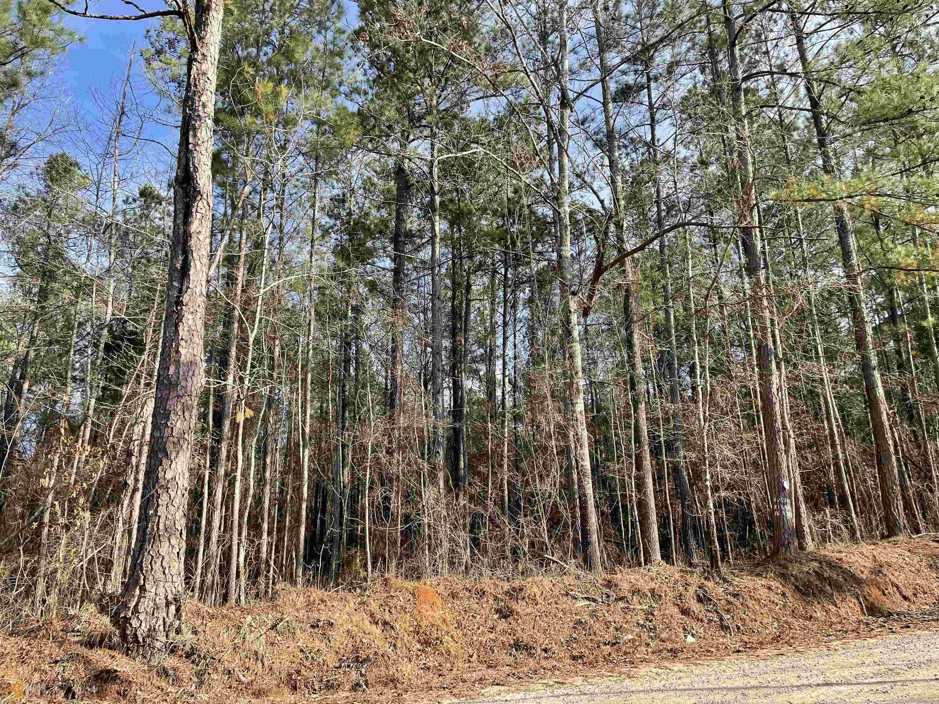 0 Glover Road, Unit LOT 2 Zebulon, GA 30295 - Photo 1 of 1