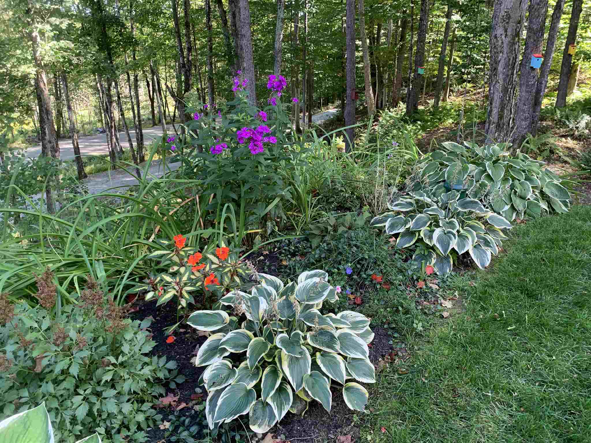 2421 Walton Road Morristown, VT 05661 - Photo 22 of 31