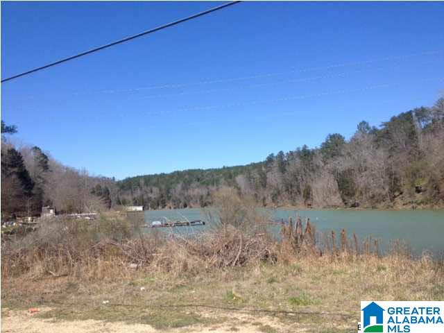 167 Big Shoals Road, Unit LOT 14 Adger, AL 35006 - Photo 9 of 12