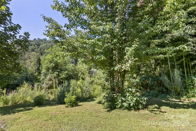a backyard of a house with lots of green space