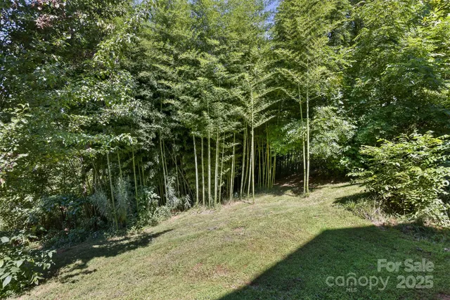 a view of a garden with plants