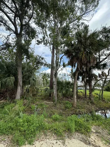 $69,000 | Lot 1 5th Avenue, Steinhatchee, FL 32359
