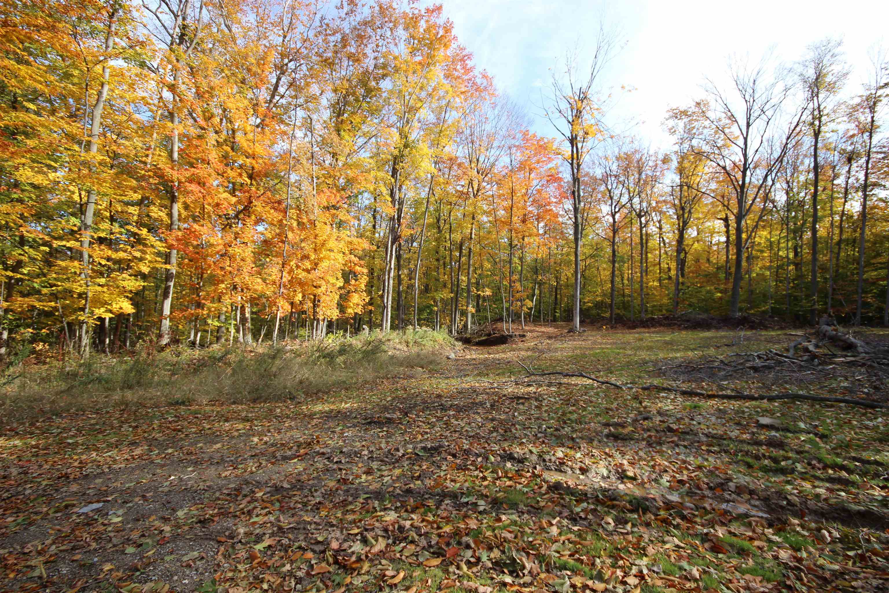 3722 Swaney Road Traverse City, MI 49686 - Photo 39 of 52 Gallery Image 39