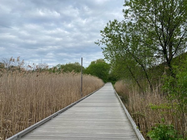 7 Arizona Terrace, Unit 2 Arlington, MA 02474 - Photo 22 of 25