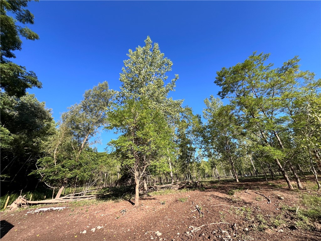 Cross Road Phelps, NY 14532 - Photo 16 of 47