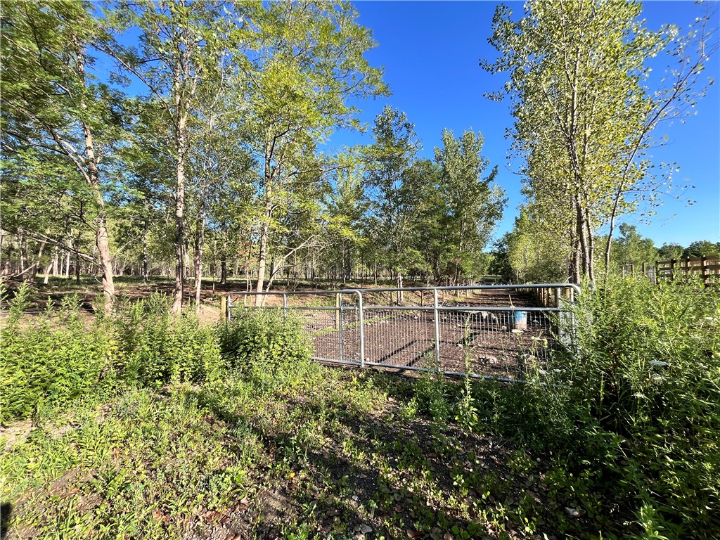 Cross Road Phelps, NY 14532 - Photo 17 of 47