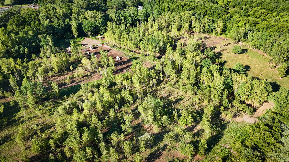 Cross Road Phelps, NY 14532 - Photo 28 of 47