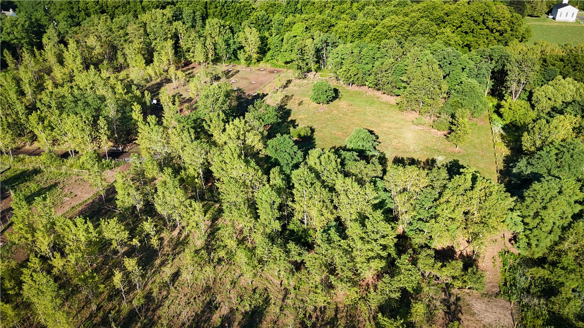 Cross Road Phelps, NY 14532 - Photo 29 of 47